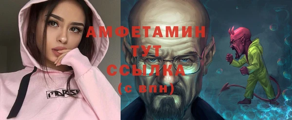 гидра Липки