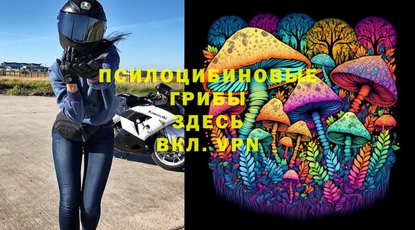 гидра Липки
