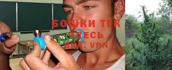 гидра Липки