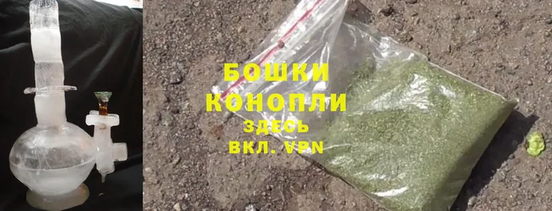 как найти   Ермолино  Канабис White Widow 